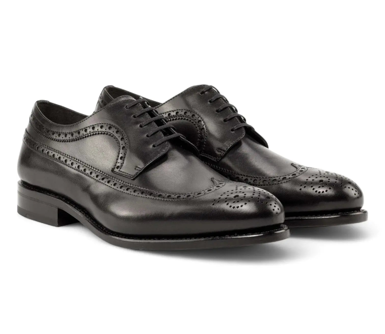 Longwing Blucher