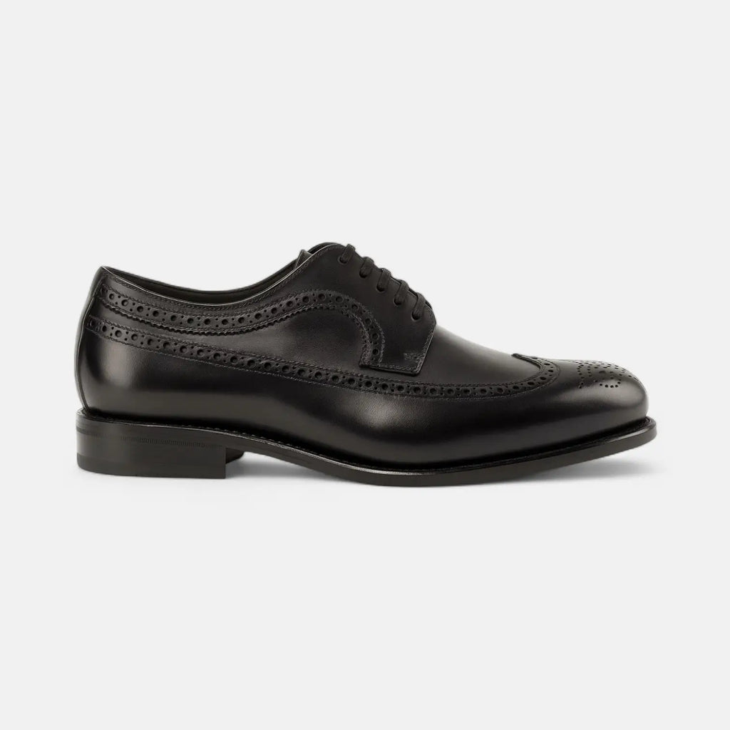 Black Longwing Blucher