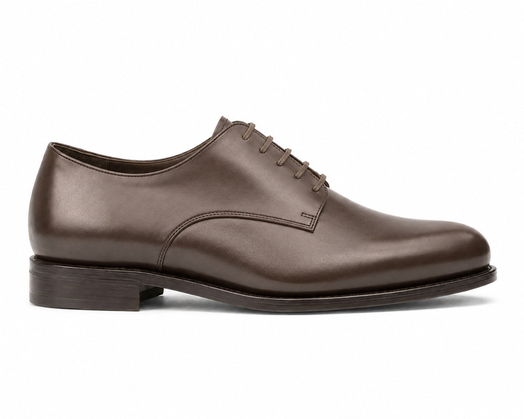 Brown Plain Derby