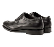 Black Longwing Blucher