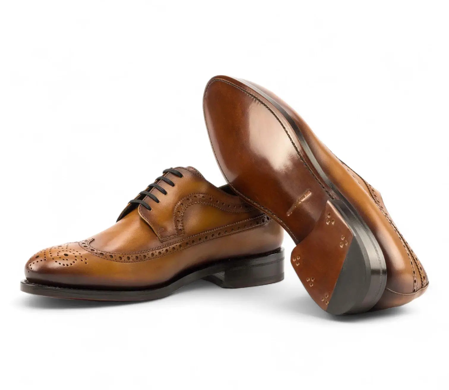 Tan Longwing Blucher