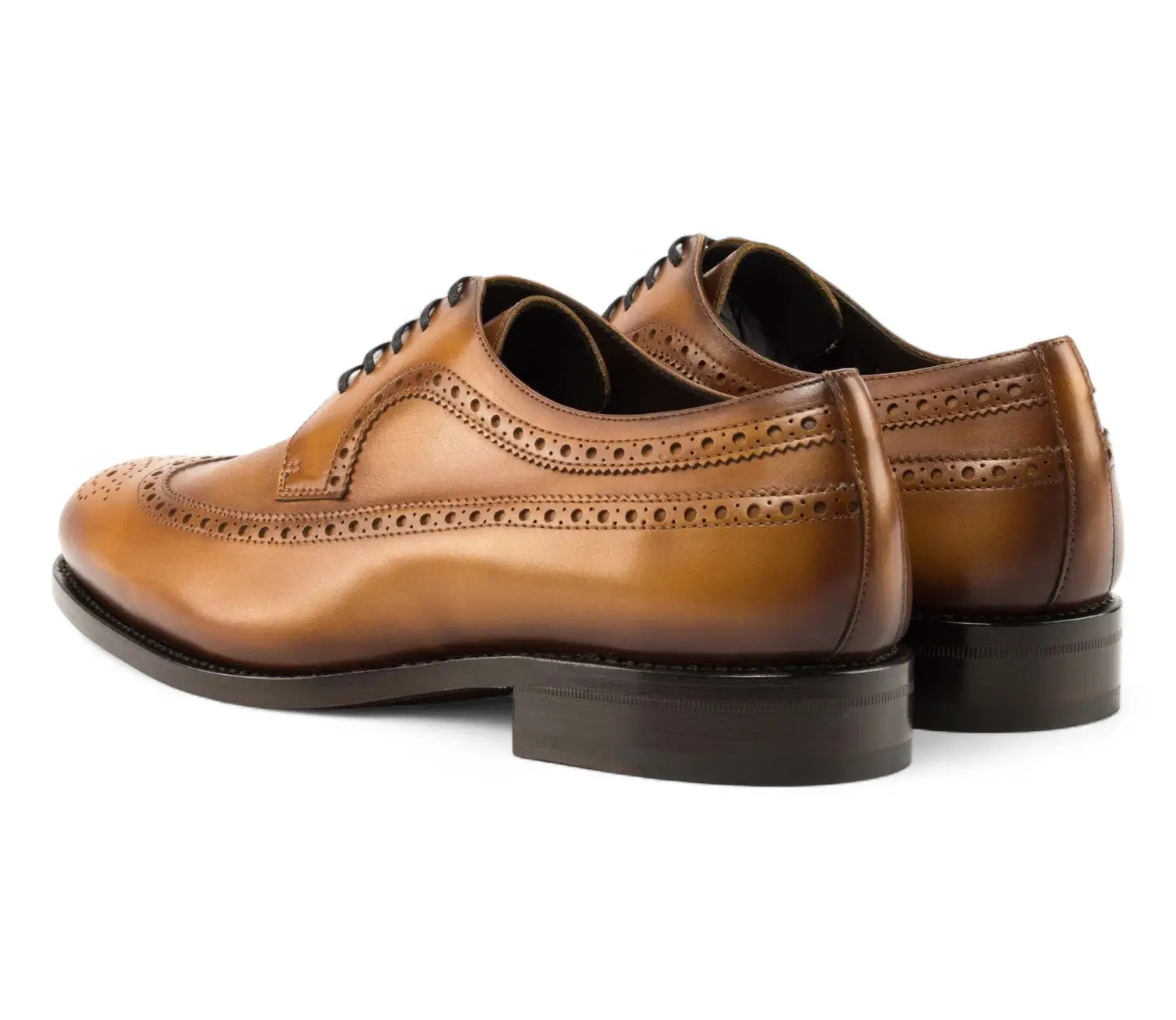 Tan Longwing Blucher